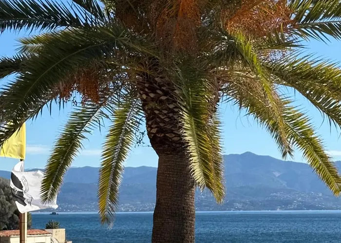 Front De Sanguinaires *